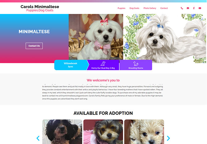 Hotel Website